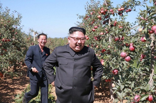 Яблоки из Северной Кореи будут поставлять в Россию 🍏

В Россельхознадзоре уточнили, что договоренности..