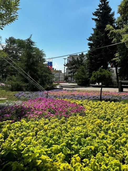 🌸В донской столице завершились работы по высадке летних цветов

Летний Ростов поистине расцвел: на улицах,..