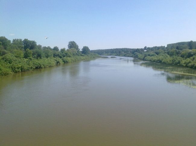 Новосибирцев предупредили, что купание в реке Ине категорически запрещено из-за загрязнения воды. 

Анализы..