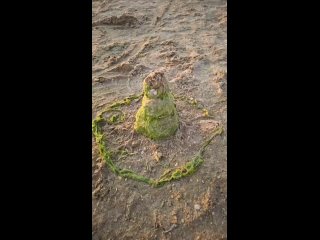 Удивительные изваяния на песчаных пляжах Анапы 👀

видео..