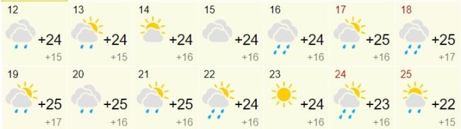 Синоптики рассказали, каким будет август 2024 в Самарской области 

Климатическая осень в регионе может..