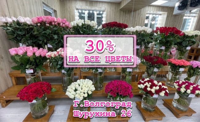 Реклама: ИП Ягель Анна Сергеевна, ИНН: 343657587063, ERID:💰Скидка 30% на все цветы!

🕗Только до 21 июля и только в одном цветочном салоне г. Волгограда! 

🔥Шурухина д.26..