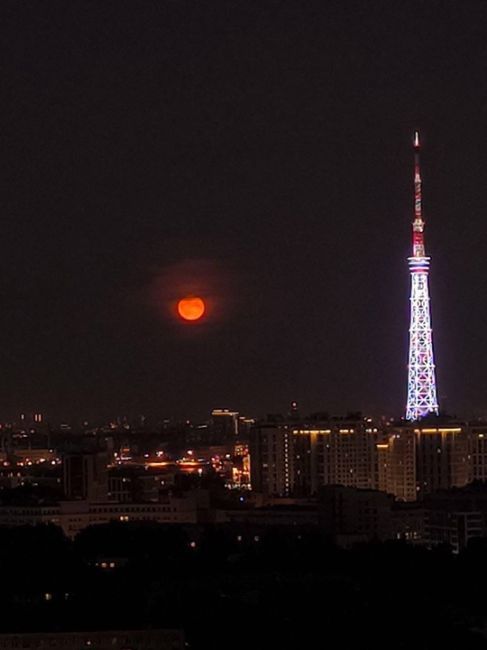 Еще немного кадров шикарной луны в небе над Петербургом..