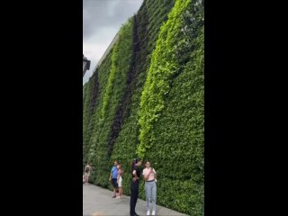 Уже видели зелёную стену на Никольской?

Она состоит из нескольких десятков видов живых..
