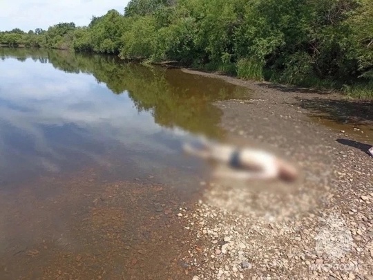 Вчера из реки Сергинка в селе Серга Кунгурского округа было обнаружено тело мужчины достали тело..