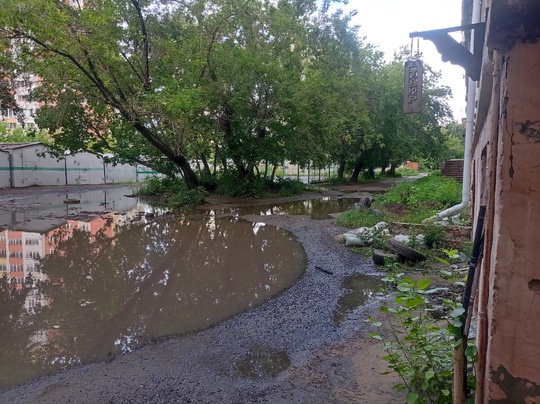 Здравствуйте! После дождей вся вода с Проспекта Мира д. 59, д. 57 стекает за дом по улице Андрианова д. 36.в..