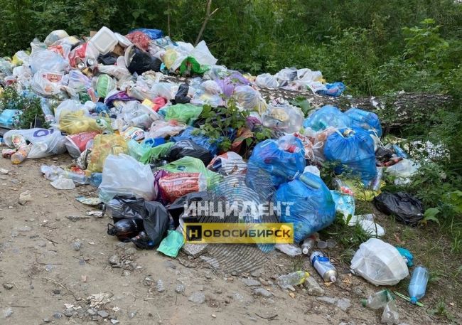 Огромные горы мусора неприятно удивили жительницу Новосибирска

Жительница Новосибирска пожаловалась в..