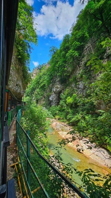 Доброе утро! Посмотрите на красоты реки Курджипс в Гуамском ущелье

фото Татьяна..