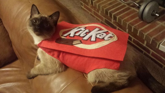 А счастье было так близко…

Nestle опровергла информацию о возобновлении выпуска шоколада KitKat в России. Их..