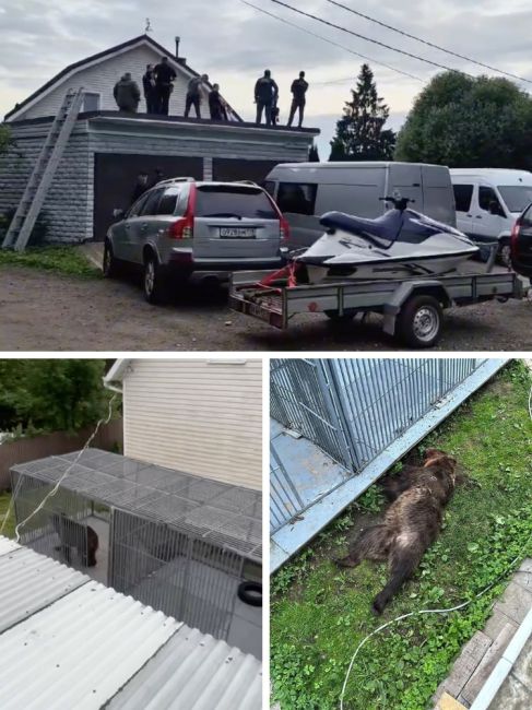 Медведь убил хозяйку в частном доме в Парголово

Трагедия произошла минувшим вечером в СНТ «Гипроникель»,..