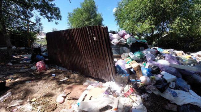 В Самарской области пересчитали новый тариф на мусор 

Проект документа уже готов 

В Самарской области..