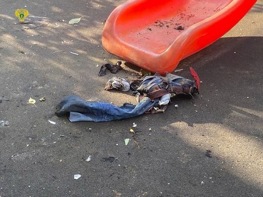 Подростка, который в прошлым летом облил бензином и поджег школьника на детской площадке в Москве, отправили..