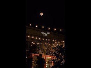 Видео: yurkuz
Луна над..