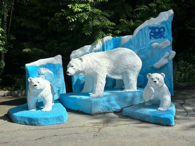 В зоопарке у вольера белых медведей появилась прекрасная новая фотозона.

Новосибирск с..