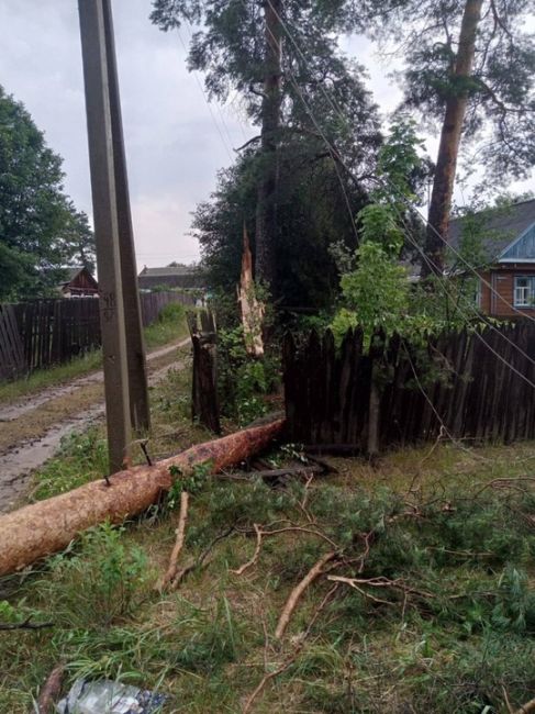 🗣️ Ураганный ветер уже прошелся по поселку Сатис Первомайского района

Там повалены деревья, оборваны..