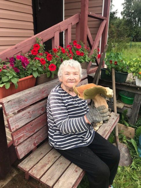 Пенсионерка показала гигантский гриб, который вырос у неё на даче в Вырице Гатчинского..