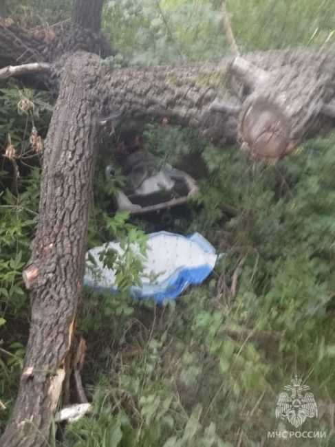 Омич разбился на гидроцикле, врезавшись в дерево

Вчера около 21:30 на Оми в районе садоводческого..