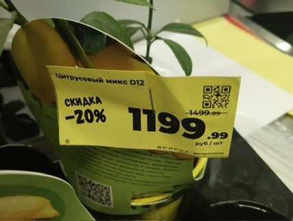 В Самаре резко выросли цены на горшочные растения 

Стоимость увеличилась в разы

Любители растений в..