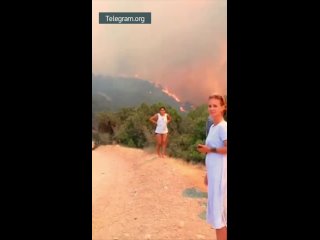 Мощный лесной пожар вспыхнул между Анапой и Абрау-Дюрсо: 500 человек эвакуировали 

По официальным данным,..