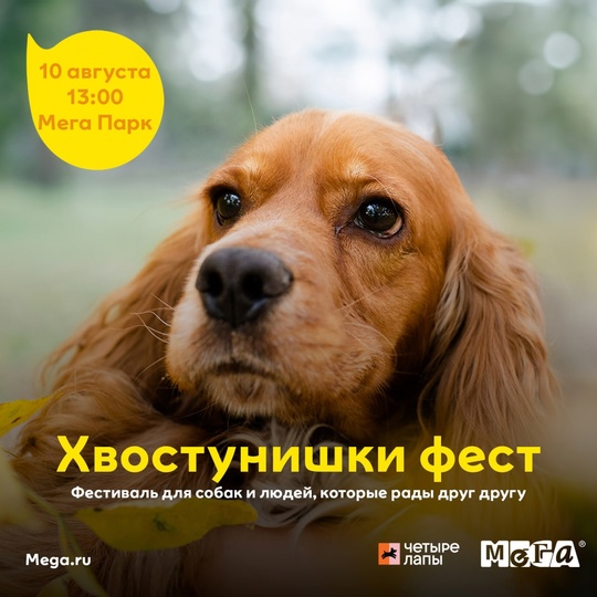 🥳 Приглашаем на Дог-фестиваль «Хвостунишки» в МЕГЕ Дыбенко

Второй год мы встречаемся в МЕГА Парке, чтобы..