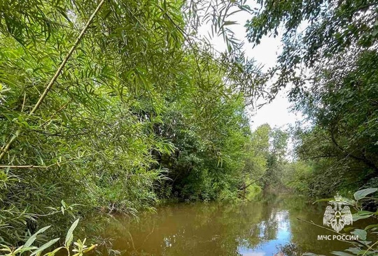 ‼️Снова происшествие на воде в Перми 

В микрорайоне Субботино из реки Мулянка извлечено тело мужчины без..