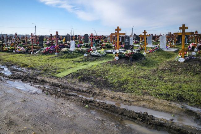 Петербурженка судится за гробовые осуждённого брата, умершего на СВО

В Василеостровский районный суд..