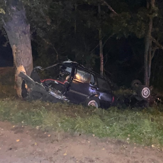 Легковушка врезалась в дерево под Гатчиной — трое погибли 
 
ДТП произошло этим вечером на Киевском шоссе...