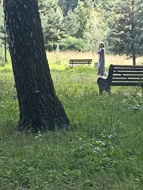 Ничего необычного, просто генерал Владимир Шестеров, задержанный сегодня за хищения в парке..