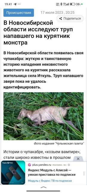 🗣️ От подписчика: «В Кстовском районе собака на участке поймала и задушила животинку. Кто-нибудь знает, кто..