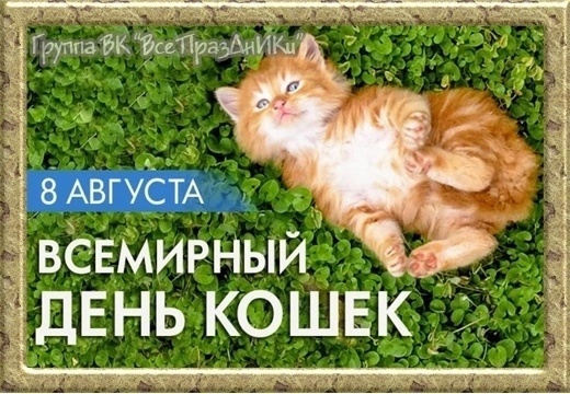 🐈 Сегодня отмечается всемирный день кошек! Поздравьте своего шерстяного — купите его любимых вкусняшек. 

В..