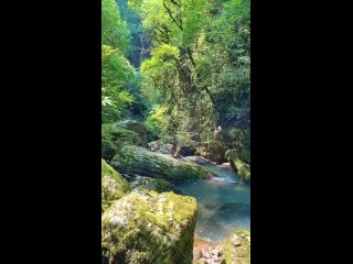 ⛰️Утопающий в зелени каньон, до которого легко добраться.

Потрясающей-красоты место, с кристально-чистой..