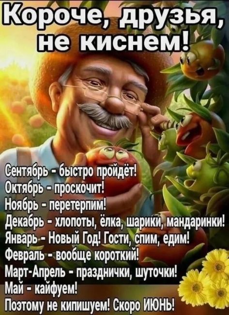 ☀️Нижегородцев ожидает сразу два бабьих лета.

По прогнозам синоптиков, 28 августа в Нижегородской области..