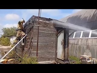 🗣Микроволнова печь чуть не погубила лошадок на конной базе 
 
Неисправная техника заискрила и загорелась,..