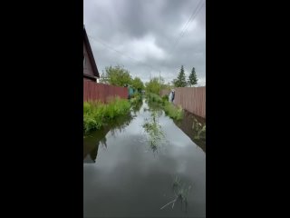 Топит дачи. Вчера не было дождя, но уровень воды поднялся. ТЭЦ-5 сливает воду рядом с дачами Осташково, в полях..