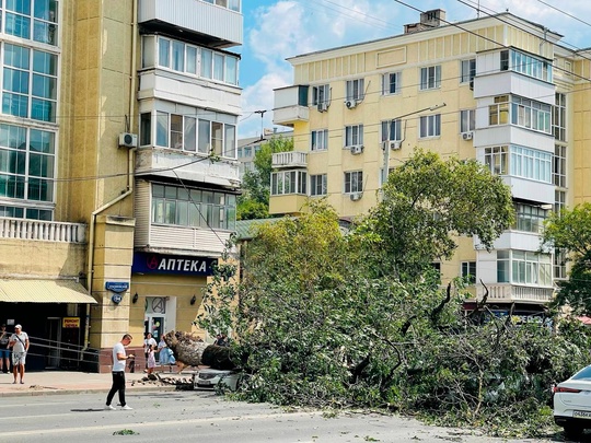 На проспекте Будённовском упало дерево. Проезд между улицами Текучёва и Мечникова затруднен. 

Пострадало..