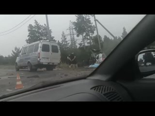 🗣Жуткие подробности ночной аварии в Дзержинске - погибший в легковушке мужчина перед ДТП зарезал молодую..