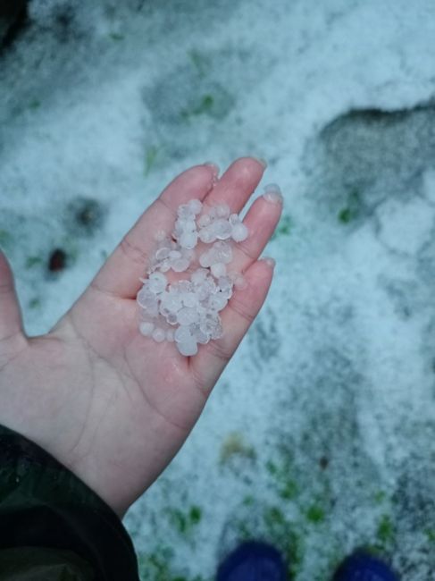 ❄На юге Башкирии случился природный апокалипсис

Южный Урал оказался во власти непогоды. Ранним утром 13..