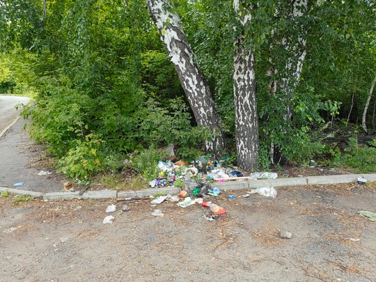 Фотку из вашего паблика взял. Не пойму некий Дима Керн, работающий на РЖД, защищает мусор выбрасываемый..