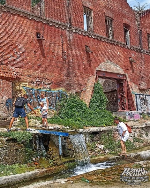 🌳 Парамоновские склады, июль..