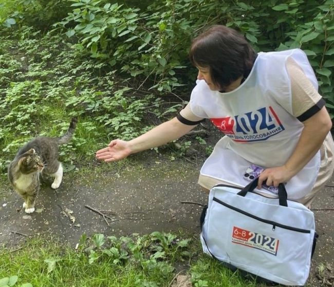 На губернаторских выборах разрешат голосовать в зоне СВО

Горизбирком решил открыть экстерриториальные..