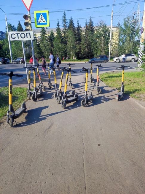 Больше не будут разбросаны по всему городу. За неправильную парковку самокатов хотят штрафовать на 5000..