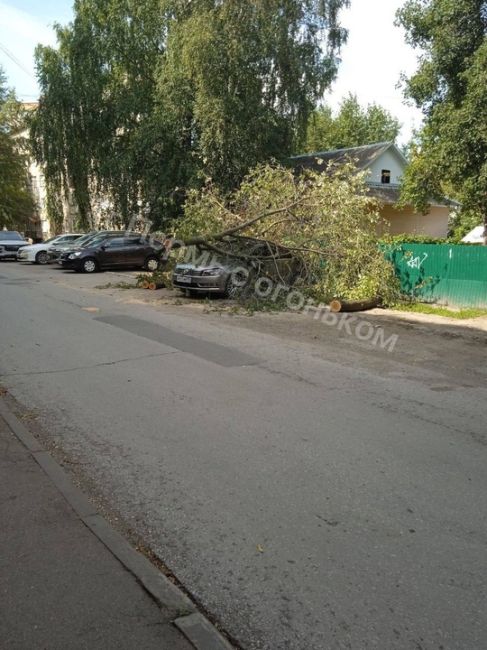 На улице Нефтяников дерево ночью упало на..