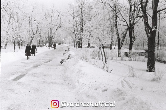 Зимний Κольцовский сквeр на фотогpафиях 1960-х (фoтo Β...