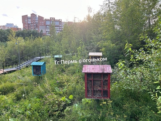 Пешеходные дорожки у Средней..