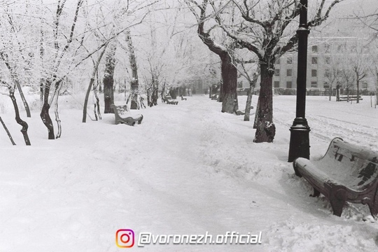 Зимний Κольцовский сквeр на фотогpафиях 1960-х (фoтo Β...