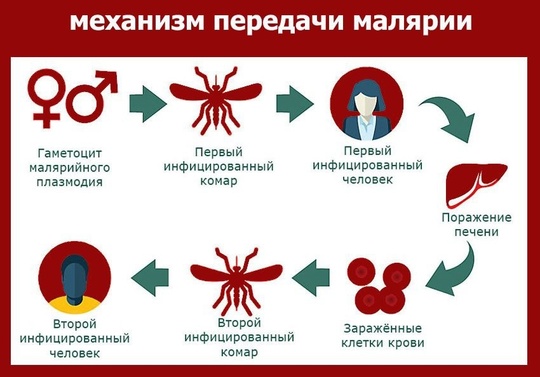 Очередную смертельную болезнь, привезенную из-за границы, нашли в Татарстане. 

Инфекцию обнаружили у жителя..