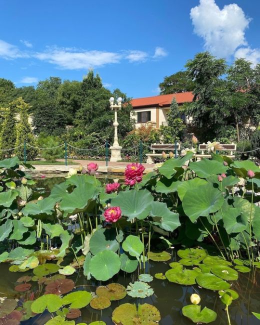 Прогулка по Старому парку в Кабардинке 😌

Фото..