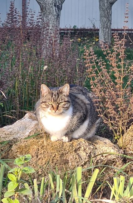 🐈 Сегодня отмечается всемирный день кошек! Поздравьте своего шерстяного — купите его любимых вкусняшек. 

В..