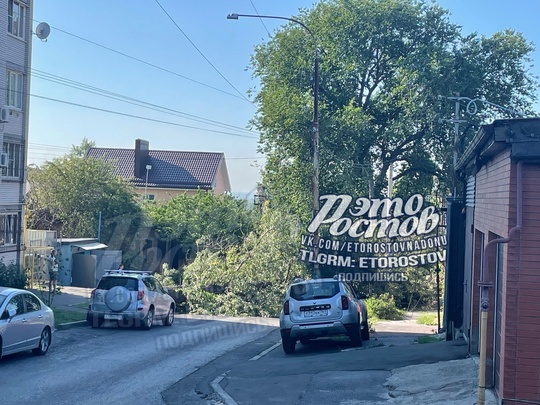 🌳Дерево упало, оборвав провода и перекрыв дорогу на 11-Линии. При этом сильного ветра сегодня нет. На месте..