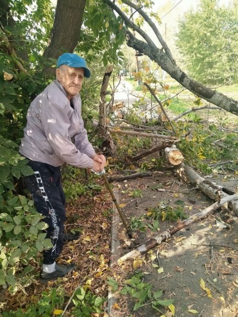 ‼Вчера в Кондратово возле дома по ул. Камская,13 сухое дерево упало на пожилую пару 

Местная жительница..